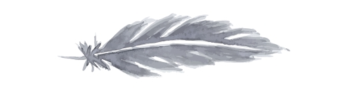 graphic imaged of grey feather, aligned horizontally